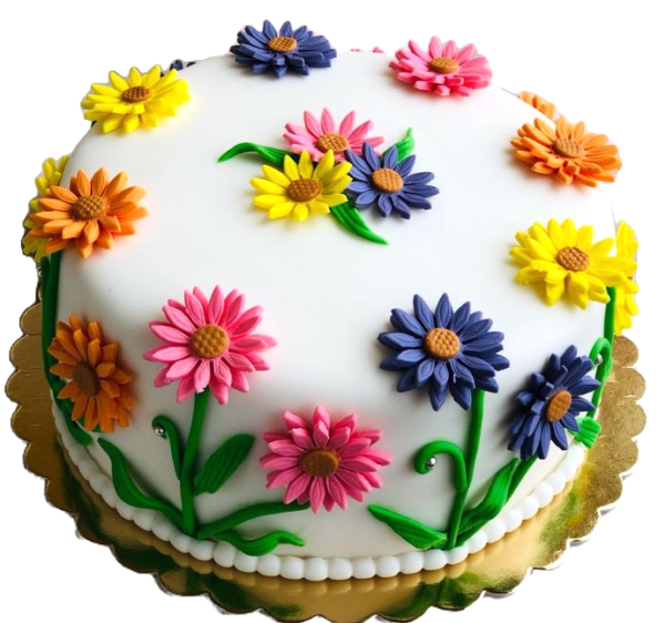 Colorful Daizy Sunflower Cake