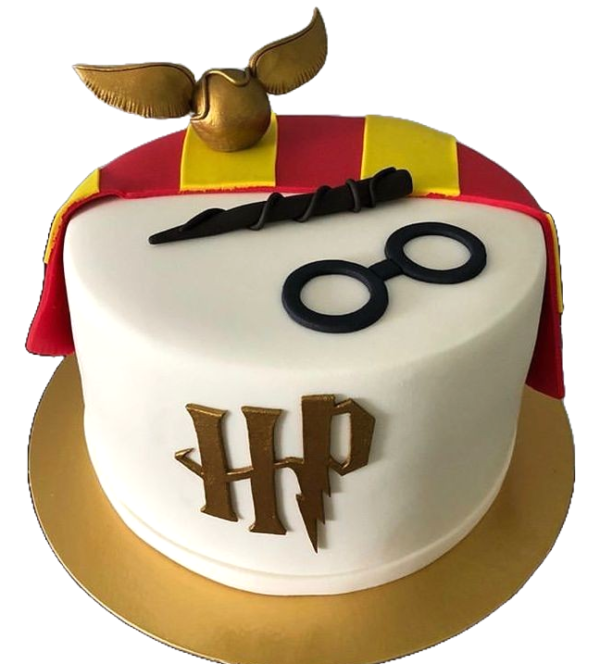 The enchanted Castle Harry Potter Cake